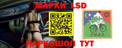 шишки Чебоксары