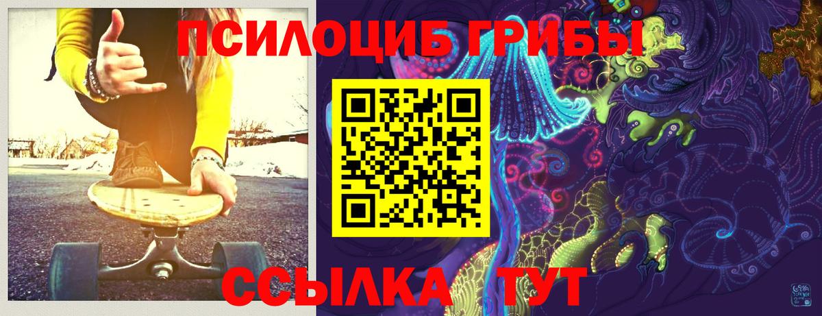 Псилоцибиновые грибы мицелий Артём