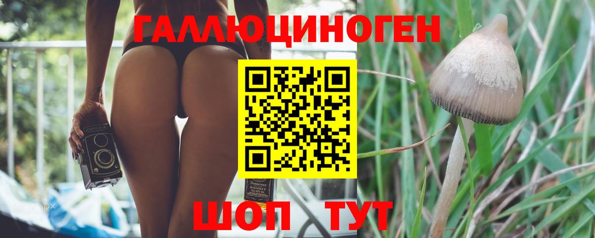 Псилоцибиновые грибы прущие грибы  Вход с VPN  Артём 