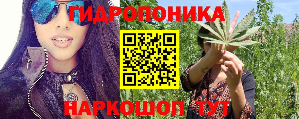 Конопля марихуана Артём